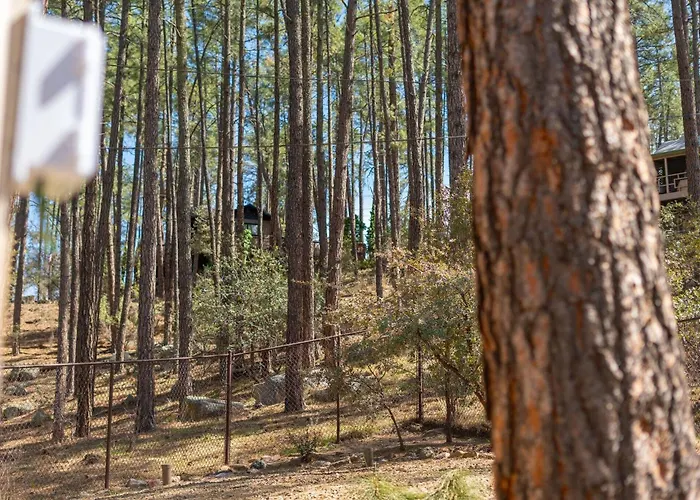 Pines Near Whiskey Row | King Bdrms | Fenced Yard * Prescott